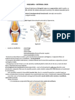 Mișcarea - Sistemul Osos PDF