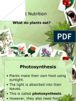 Plant Nutrition Powerpoint