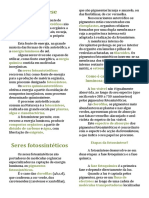 Fotossíntese PDF