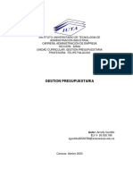 Gestion Presupuestaria Ag PDF