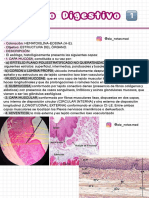 Sistema Digestivo- Histología 