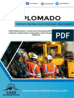 Brochure Diplomado 02-01