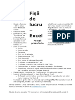 16 Fisa Excel - Functii Definite SUBIECTE