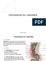 Anatomia Abdomen