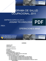 Programa de Salud Ocupacional 2011