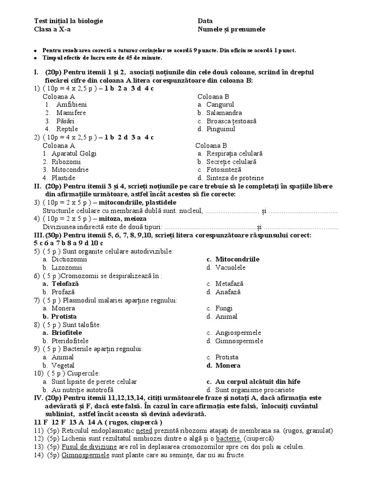 Barem Test Initial Cls 10 | PDF