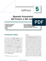 Columna Vertebral Anatomia Garcia