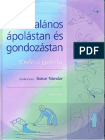 Bokor Apolastan 009-2 PDF