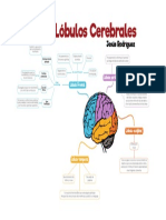 Mapa Mental - Lóbulos Cerebrales PDF