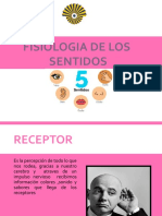 Fisiologia de Los Sentidos