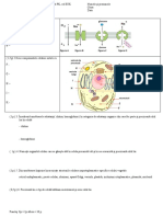 Test 1, Var 2 - Comp Chim, Cel PK, Cel Euk (Membrana, Citoplasma)