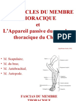 PETRO Curs 8 - Muscles MT FR