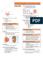 CC2 PREMILS To FINALS MERGED PDF