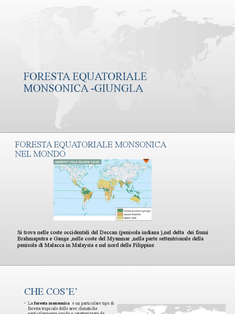 Foresta equatoriale monsonica giungla PDF