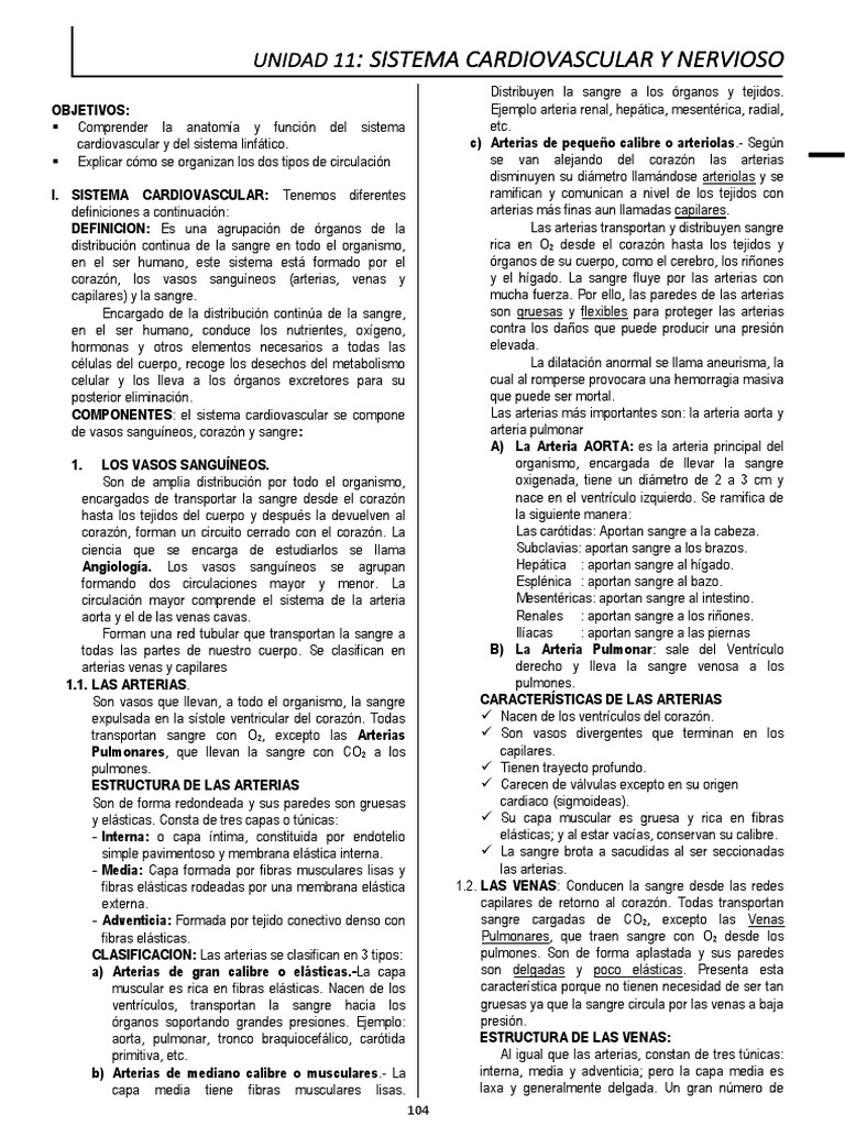 Unidad 11 Sistema Cardiovascular y Nervioso | PDF | Sistema ...
