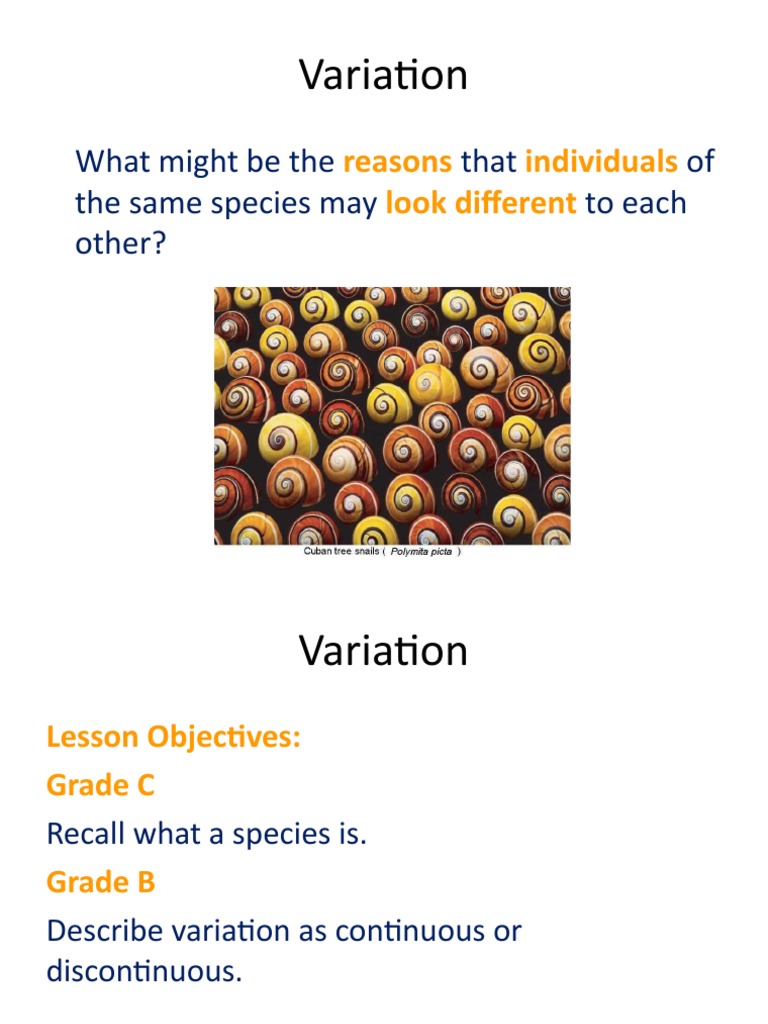 Understanding Variation in Species | PDF | Species | Reserved Word