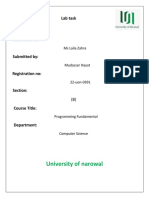 Lab Task Mudassar Hayat PDF