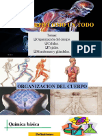 El Cuerpo Como Un Todo