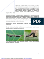 Guia Ilustrada Insectos Jatropha Curcas Quiroga Et Al - , 2010 Segunda Parte PDF
