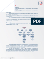 PRISÃO PREVENTIVA: REQUISITOS E DECISÕES