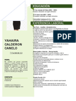 Curriculum Vitae Yahaira Calderon