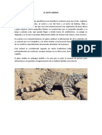 Gato andino amenazado especie montañosa Perú