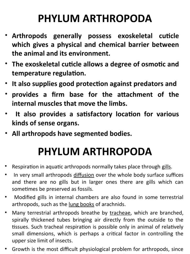 Overview of Phylum Arthropoda | PDF | Arthropods | Paleozoic First ...
