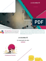 Solvabilite VF PDF