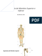 Clase 3 Osteología de Miembro Superior e Inferior Bachillerato 2022