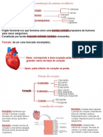 Anatomia E Histologia Do Sistema Cardiorrespiratório, Digestivo E Renal 2