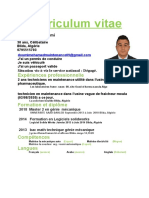 Curriculum Vitae: Expériences Professionnelle