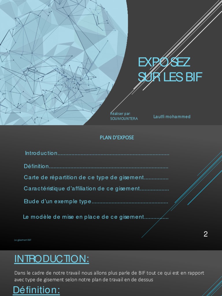 Exposez Sur Les Bif: Réaliser Par: Soumountera Lautfi Mohammed | PDF ...