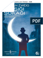 Stefan Zweig Ay Isigi Sokagi PDF