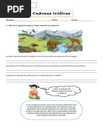 Guía Cadenas Troficas 4° Basico