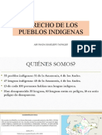 DERECHO DE LOS PUEBLOS INDIGENAS PPT Pamputa