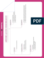 Abdominal hemorrhagic diagnosis and treatment map