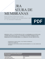 Ruptura Prematura de Membranas