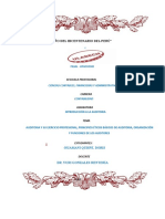 Auditoria y Su Ejercicio Profesional, Principios Éticos Básicos de Auditoria, Organización y Funciones de Los Auditores