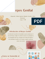 Herpes Genital 11°M