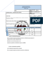 Evaluación 7mo Año Básico