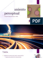 Procesamiento perceptual