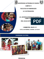Diversidadcultural 141120204951 Conversion Gate01 PDF