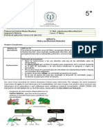 Guia Historia Recursos Naturales (5°basico)