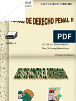 SESIÓN X TEMAS D° PENAL II