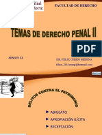 SESIÓN XI TEMAS D° PENAL II