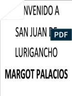 Bienvenido A San Juan de Lurigancho: Margot Palacios