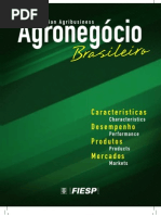 Download Agronegcio Brasileiro Caractersticas Desempenho Produtos e Mercados by adaomarin SN63214325 doc pdf