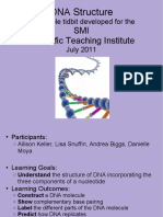 DNA Structure Teaches Complementary Base Pairing