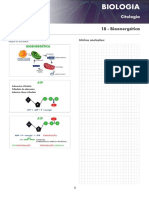 18 Bioenergetica
