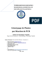 TP Génotypage L3 BTGV Fév 2023 PDF